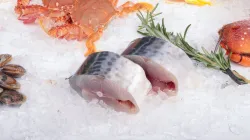 Cách chọn cá thu tươi và khử mùi tanh hiệu quả tại nhà