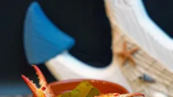 Canh giải nhiệt mùa hè: 3 món canh truyền thống dễ nấu