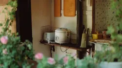 Dùng nồi cơm điện đúng cách: mẹo bền nồi, an toàn và cơm ngon