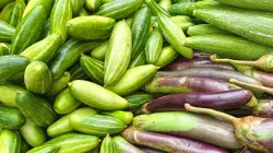 Rau củ giải nhiệt mùa hè: 8 loại nên có sẵn trong tủ lạnh