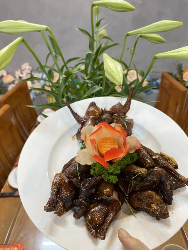 Chim To Dần - Hà Nam Quán - Phạm Văn Đồng