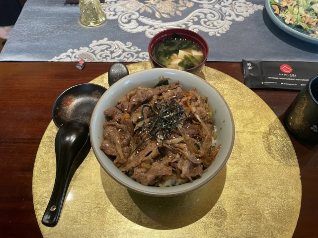 Hatoyama - Ngoại Giao Đoàn