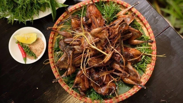 Chim To Dần Bình An - Trần Kim Xuyến