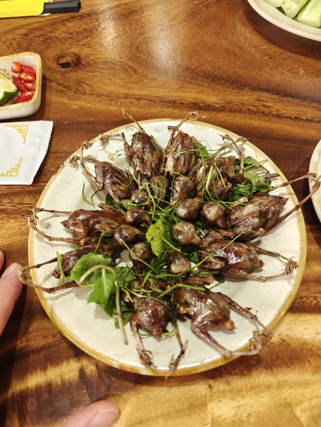 Chim To Dần Bình An - Trần Kim Xuyến