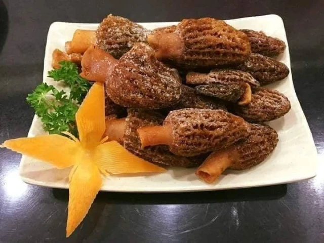 Vua Lẩu Nấm King Mushroom - Hà Đông