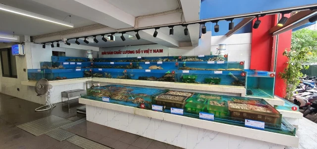 Thế Giới Hải Sản - Vũ Trọng Khánh - không gian 3