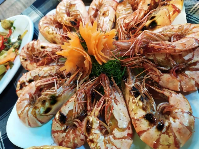 Cá Giò Viễn Đông - Bạch Đằng