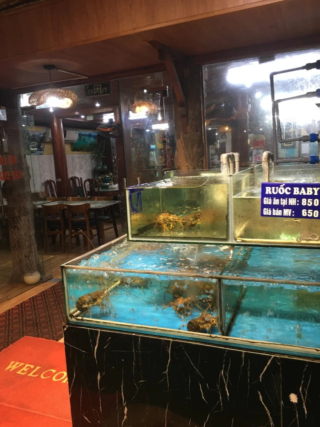Hải Sản Xóm Vắng - Trích Sài - không gian 3