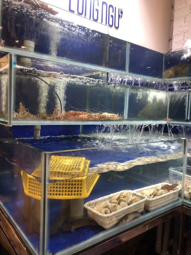Hải Sản Long Ngư - Trung Hoà - không gian 4