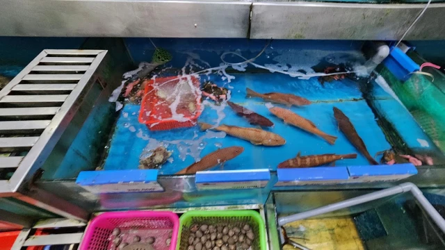 Thế Giới Hải Sản - Trần Hưng Đạo