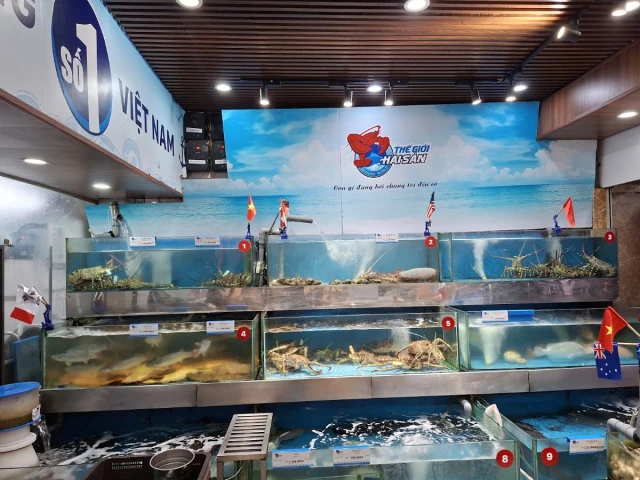Thế Giới Hải Sản - Trần Hưng Đạo - không gian 4