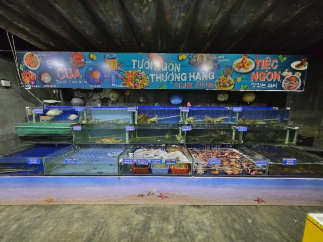 Nhà Hàng Hải Sản Ơ Kìa - Trần Phú - không gian 4