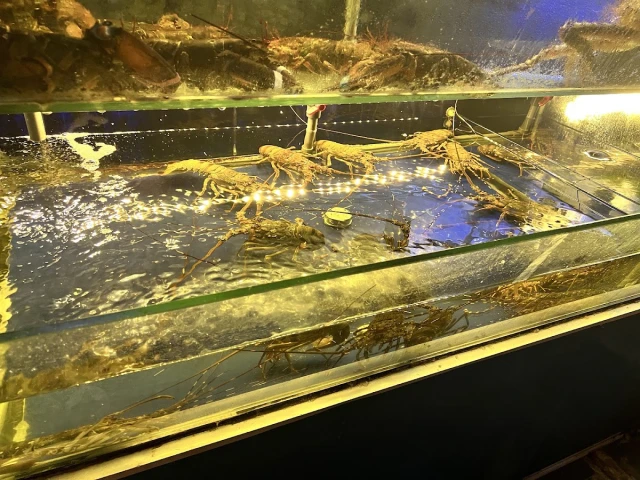 Lobster Bay - Nhà Hàng Hải Sản Kiểu Mỹ - Kỳ Đồng - không gian 3