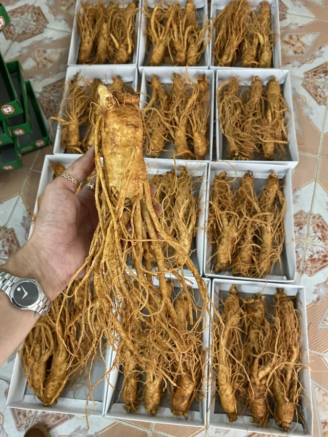 Ẩm Thực 915 - Âu Cơ