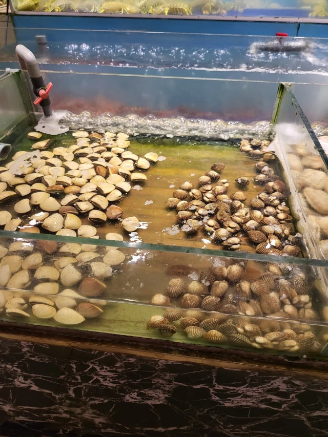 Việt Phố - Lê Quý Đôn
