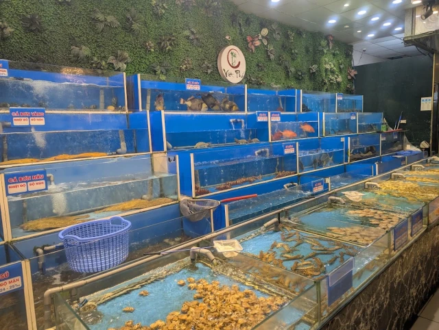 Việt Phố - Lê Quý Đôn - không gian 4