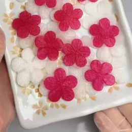 Củ cải tỉa hoa ngâm chua ngọt màu hồng