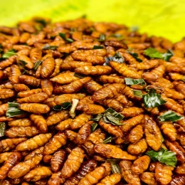 Nhộng tằm xào lá chanh