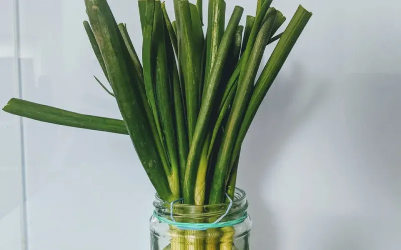 bảo quản rau củ tươi l&acirc;u