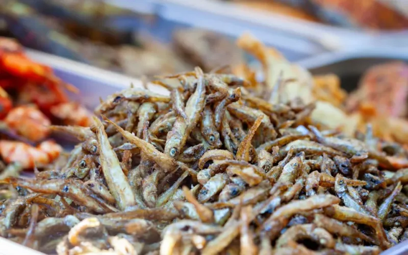 phân biệt cá cơm