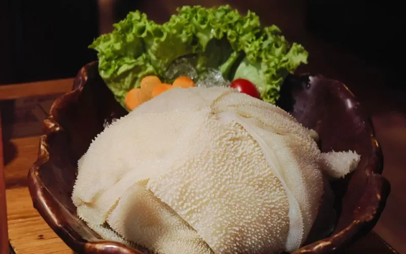 cách chọn dạ dày heo