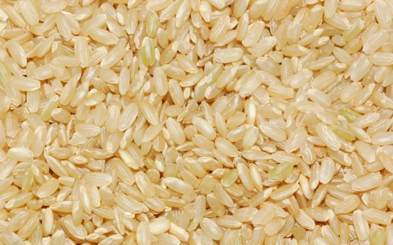 cách nấu gạo lứt