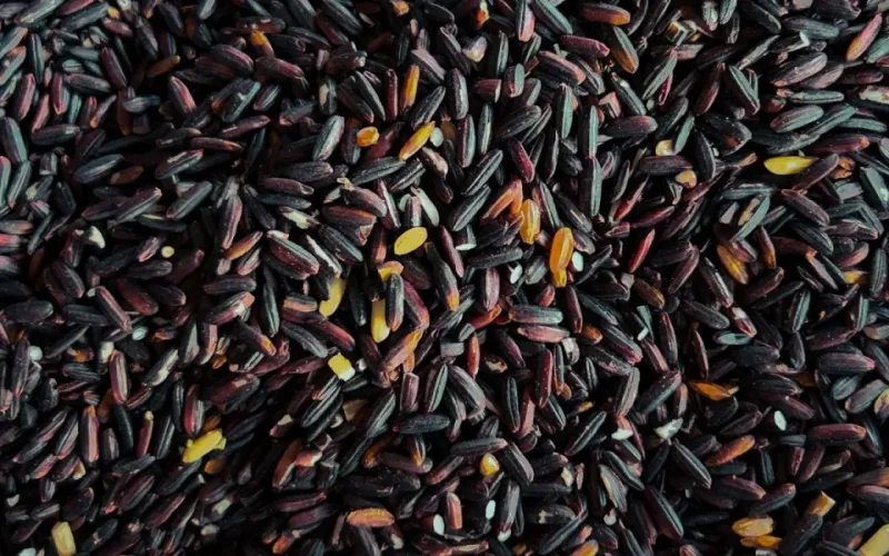 gạo lứt giảm cân