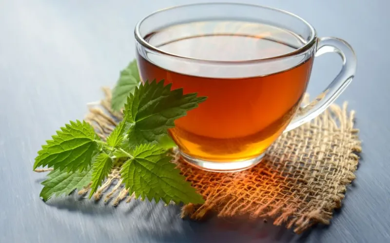 công dụng lá tía tô