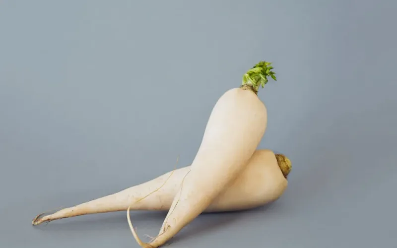 canh sườn củ cải