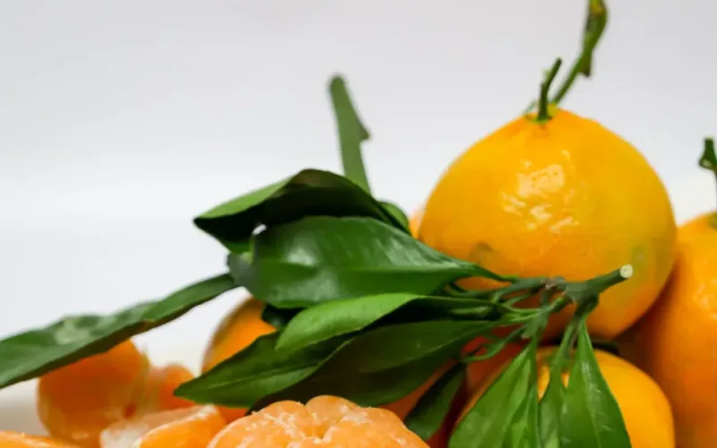 nước ép rau bina