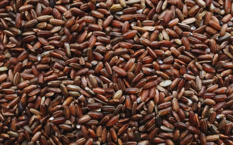 cách rang gạo lứt