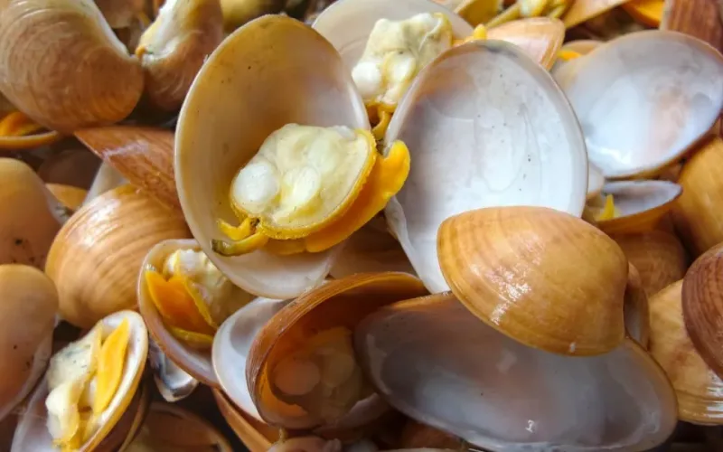 c&aacute;ch nướng s&ograve; l&ocirc;ng
