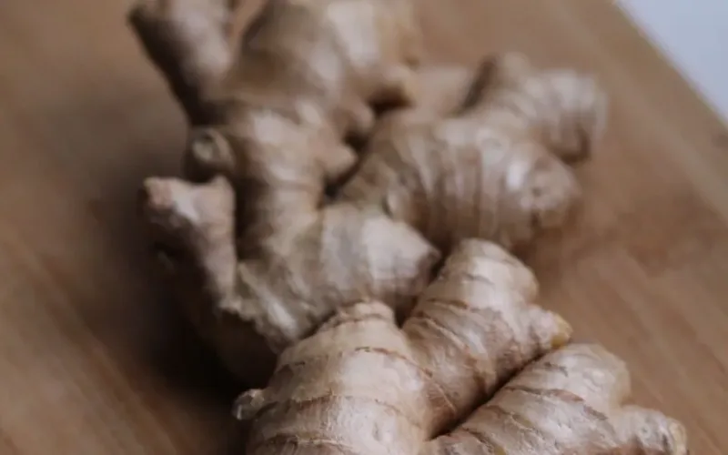món ăn dễ tiêu hóa