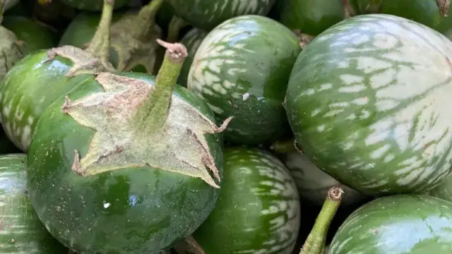 C&agrave; muối xổi trắng gi&ograve;n: b&iacute; quyết ăn nhanh sau 2&ndash;3 ng&agrave;y, kh&ocirc;ng th&acirc;m