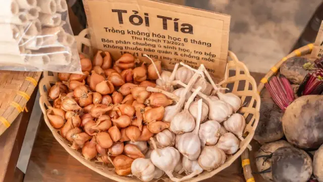 Dưa kiệu sau Tết còn dư? Làm ngay 3 món ngon, đưa cơm