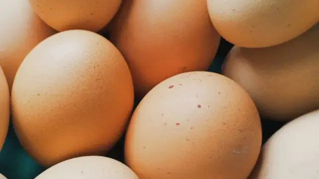 Thực phẩm giàu protein: 8 loại quen thuộc và cách nấu ngon