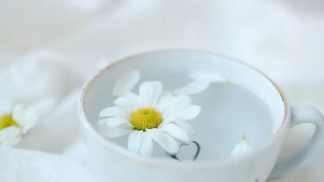 Thức uống giảm căng thẳng: 9 c&ocirc;ng thức thư gi&atilde;n dễ pha tại nh&agrave;