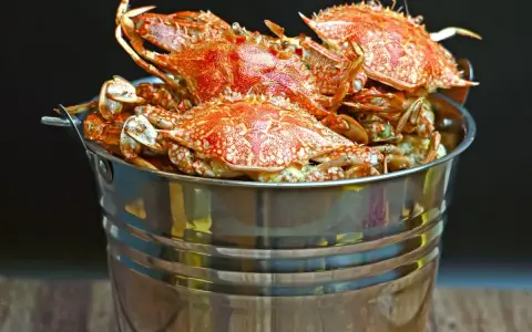 Châu Giang - Mạc Thái Tổ