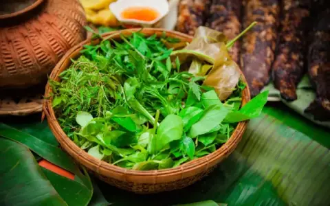 Chao Quán - Trung Phụng