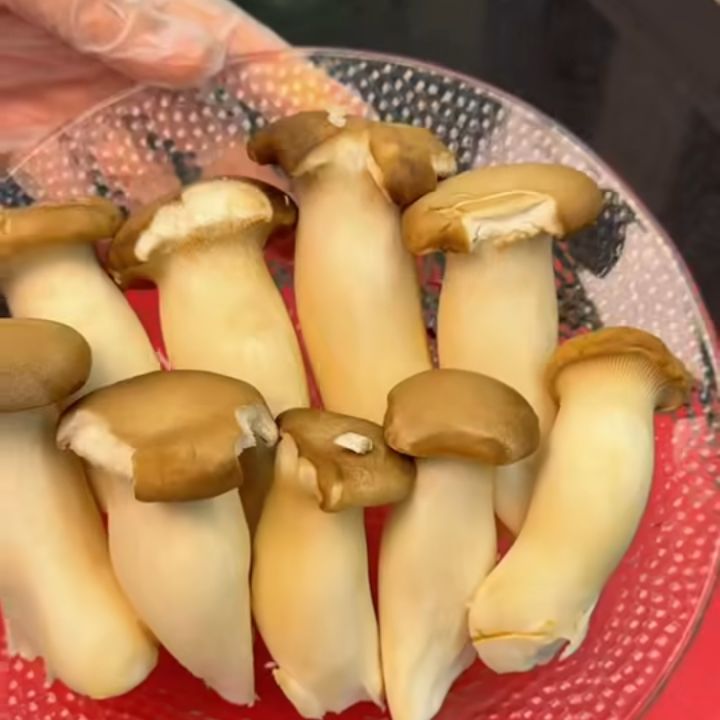 Chuẩn bị nấm