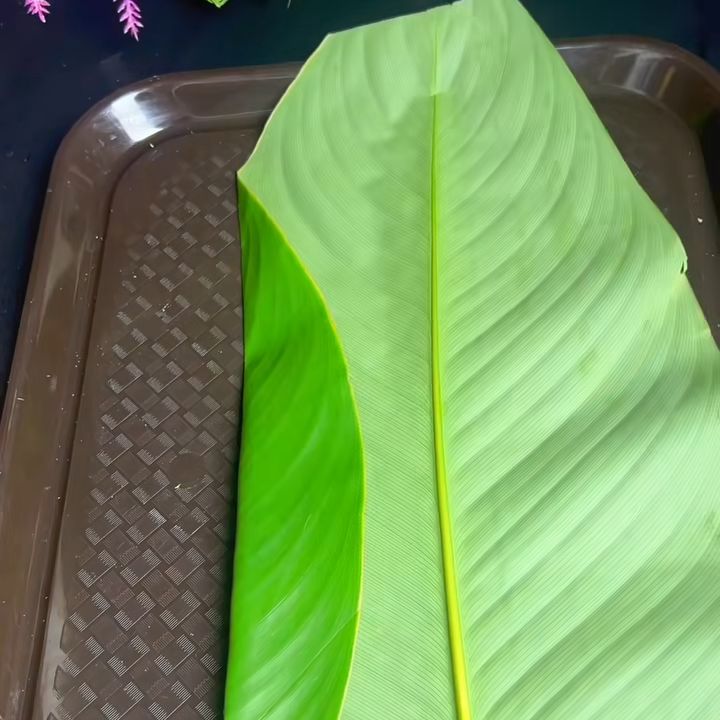 Xếp lá