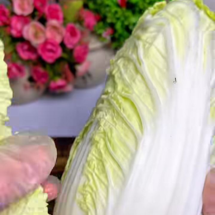 Tách cải thảo