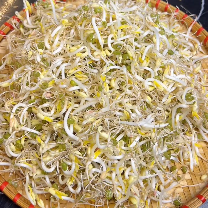 Sơ chế