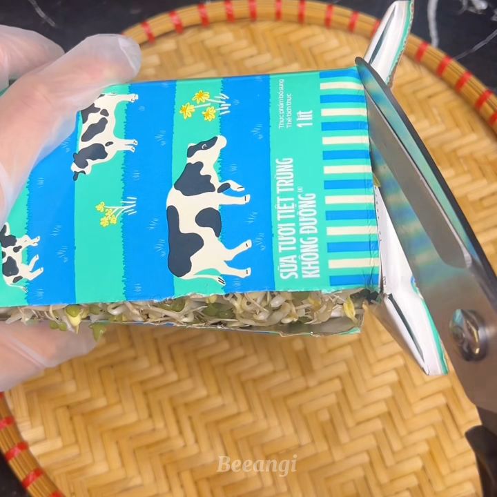 Tưới nước