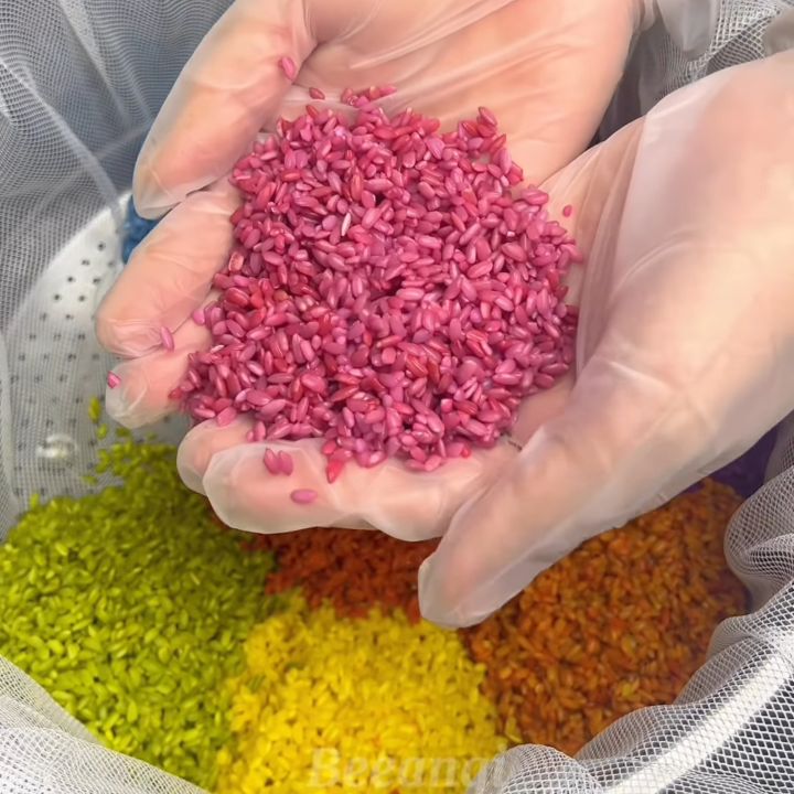 Xếp xửng