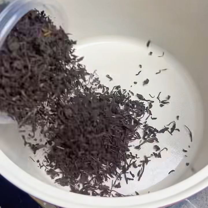 Ủ trà