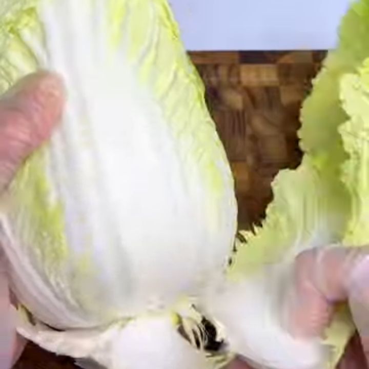 Tách lá cải