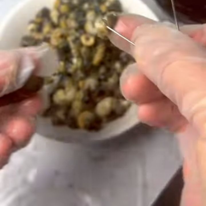 Lấy thịt ốc