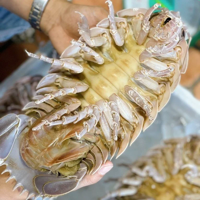 Bọ biển tươi sống 1