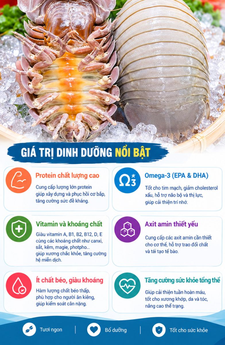 Bọ biển tươi sống c&oacute; gi&aacute; trị dinh dưỡng như thế n&agrave;o?